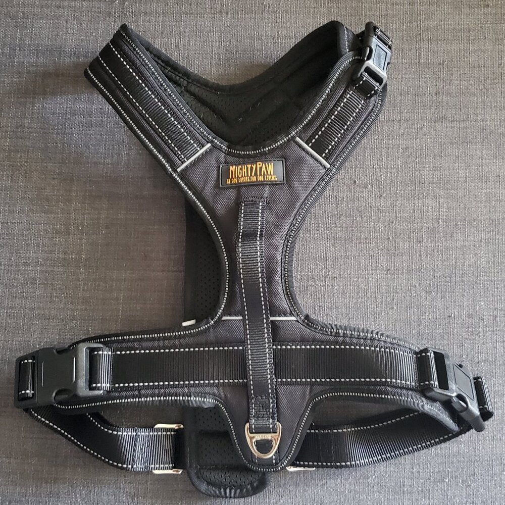 Mighty Paw Sport Harness and Bungie Leash